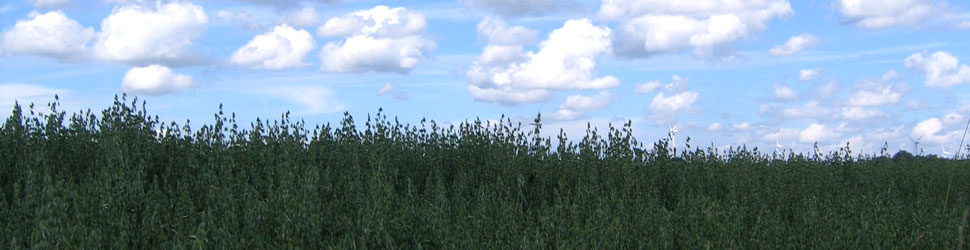 BioBoerma Flevoland header image 2